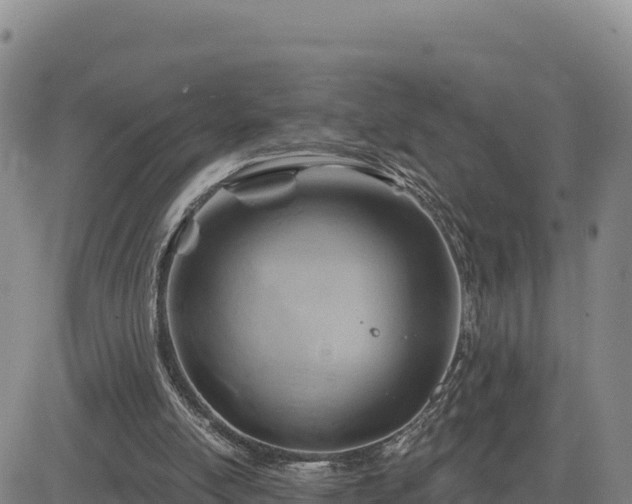 X0000084600054200703021637