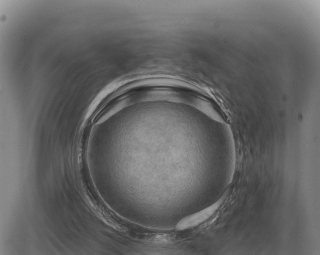 X0000084600056200703021637