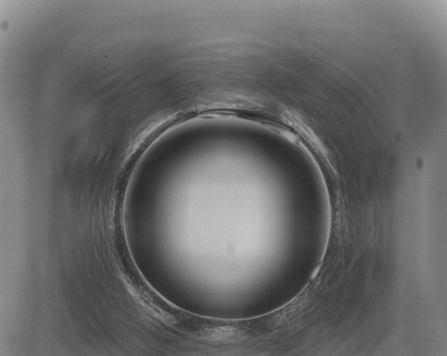 X0000084600058200703021637