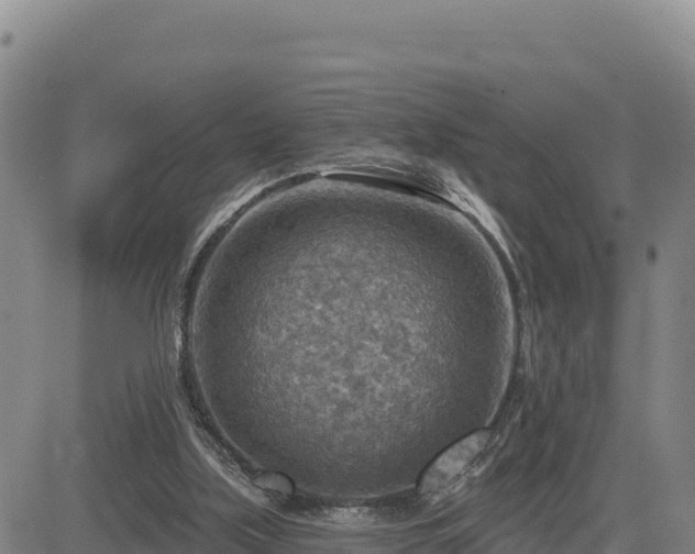 X0000084600059200703021637