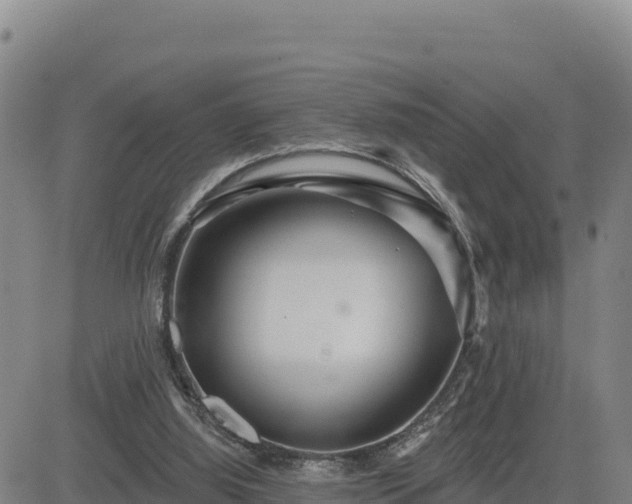 X0000084600060200703021637