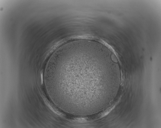 X0000084600061200703021637