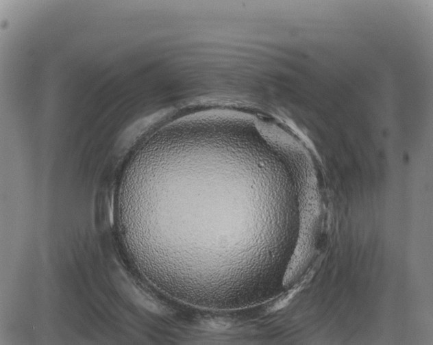 X0000084600062200703021637