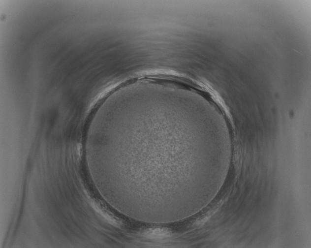 X0000084600063200703021637