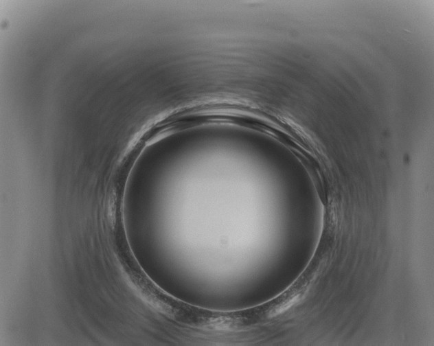 X0000084600064200703021637