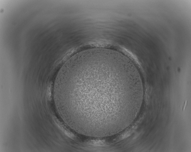 X0000084600065200703021637