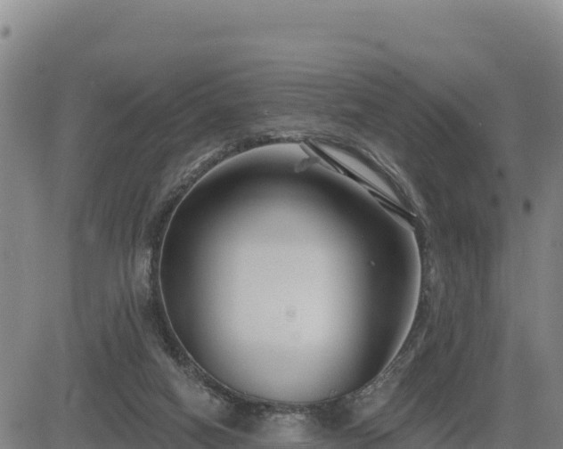 X0000084600066200703021637