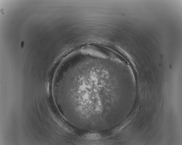 X0000084600067200703021637