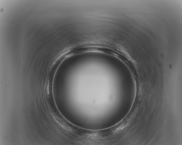 X0000084600068200703021637