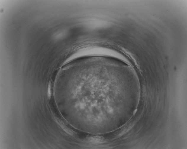 X0000084600069200703021637