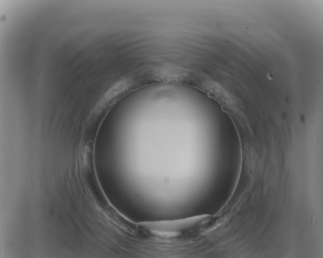 X0000084600071200703021637