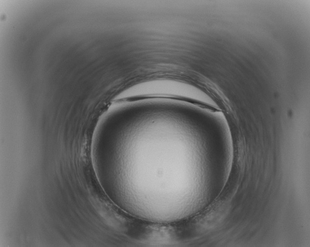 X0000084600073200703021637