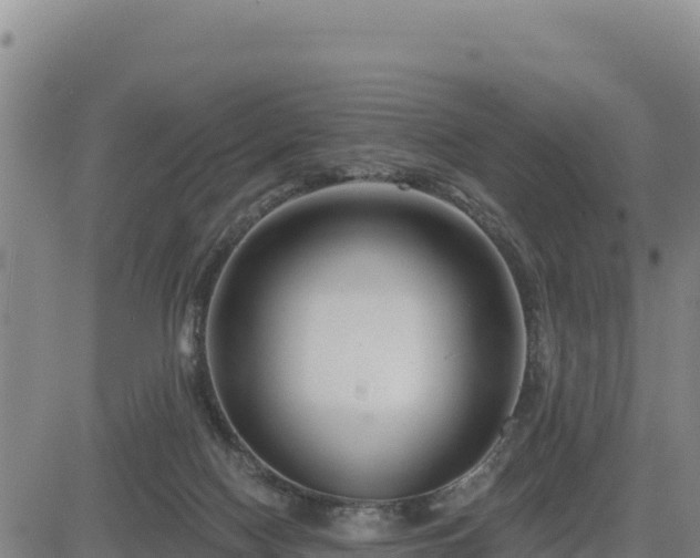 X0000084600074200703021637