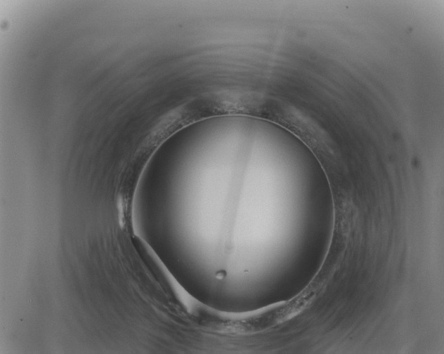 X0000084600075200703021637