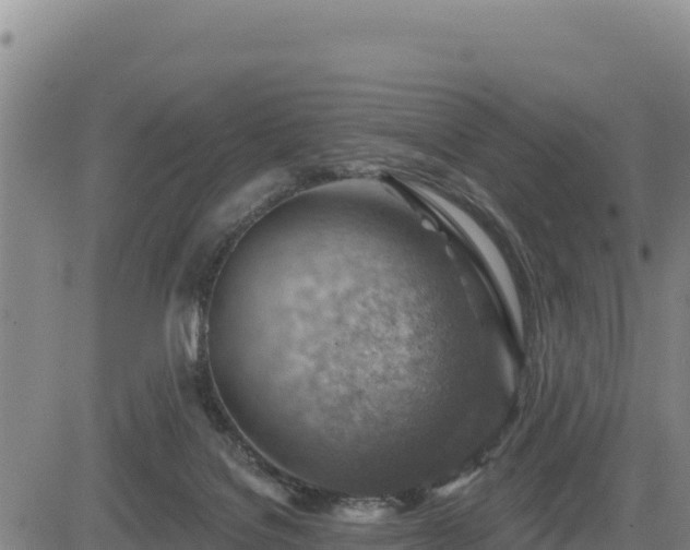 X0000084600076200703021637