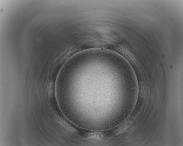 X0000084600077200703021637