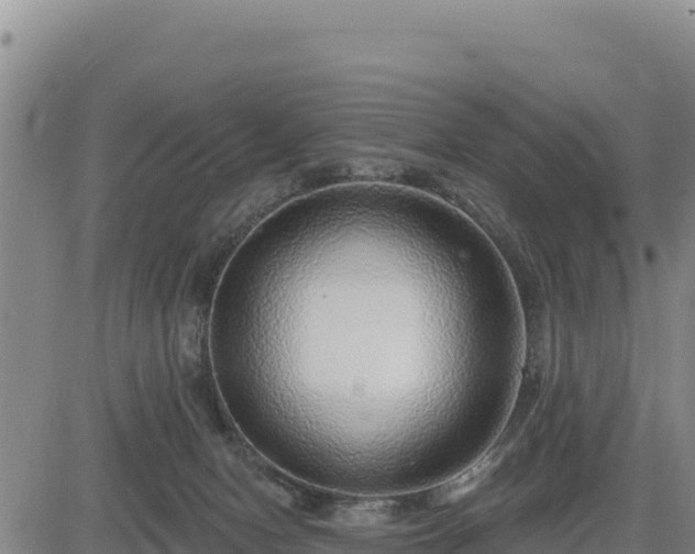 X0000084600078200703021637