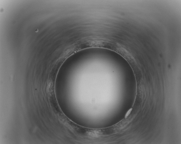 X0000084600079200703021637