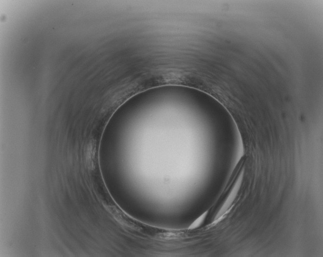 X0000084600082200703021637