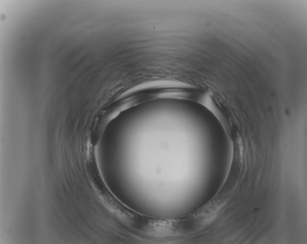 X0000084600084200703021637