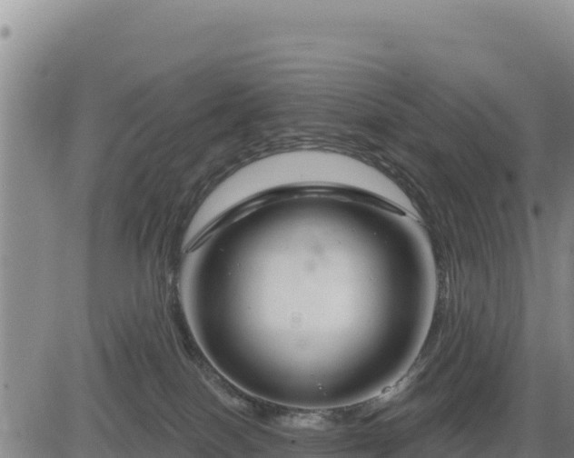 X0000084600086200703021637