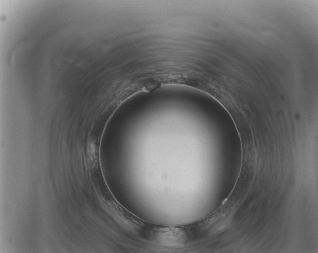 X0000084600087200703021637