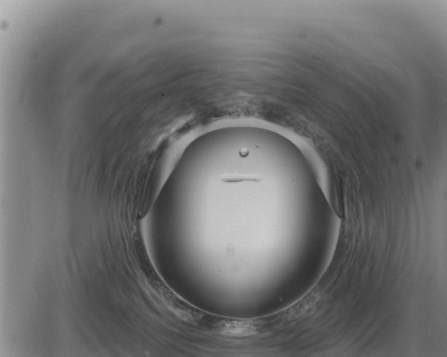 X0000084600088200703021638