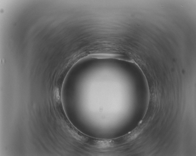 X0000084600089200703021638