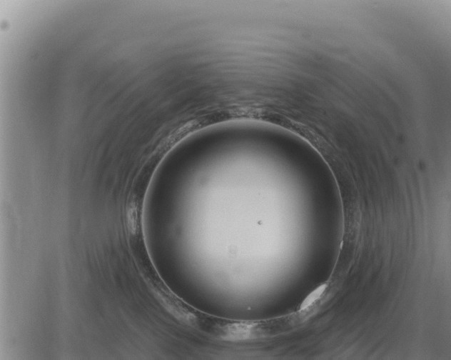 X0000084600090200703021638