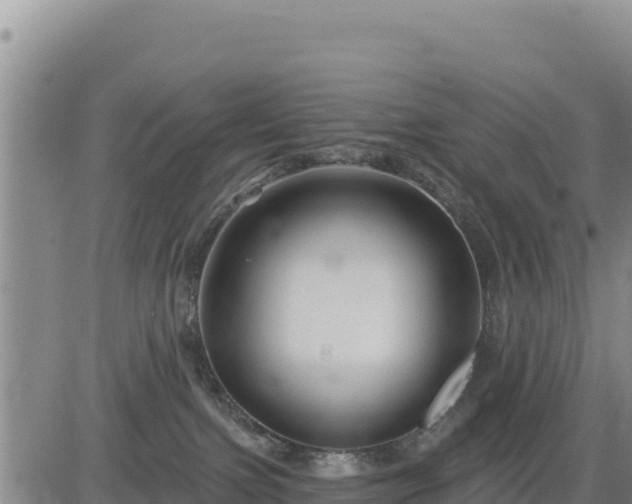 X0000084600091200703021638