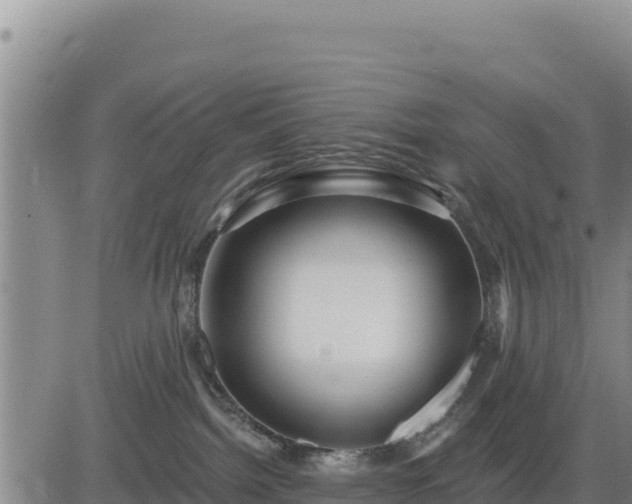 X0000084600092200703021638