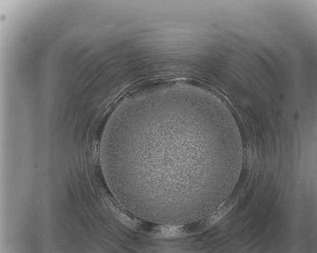 X0000084600093200703021638