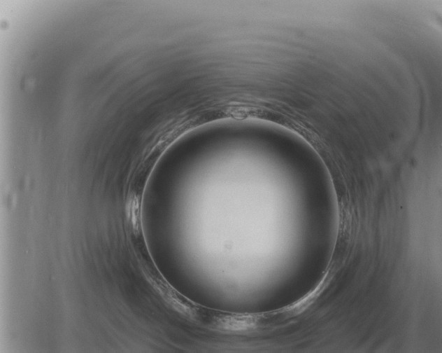 X0000084600094200703021638