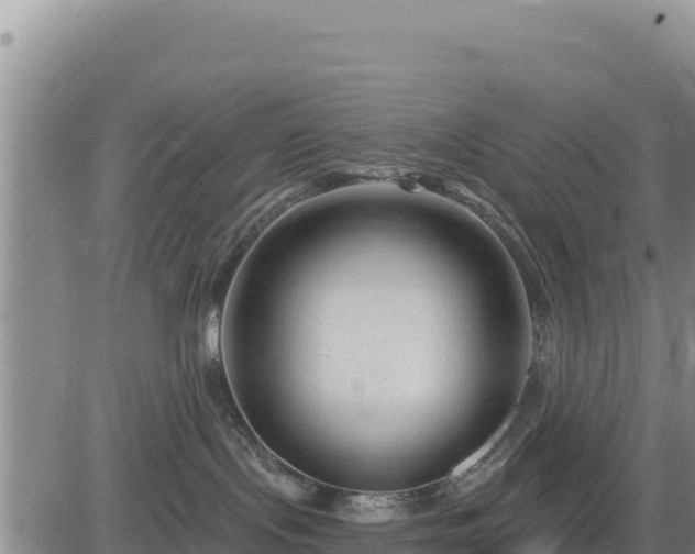 X0000084600095200703021638