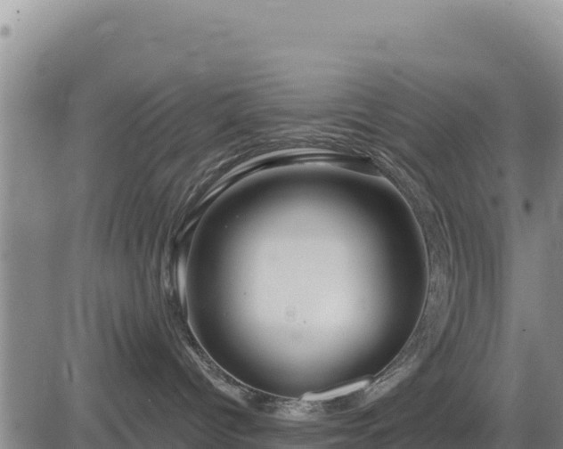 X0000084600096200703021638