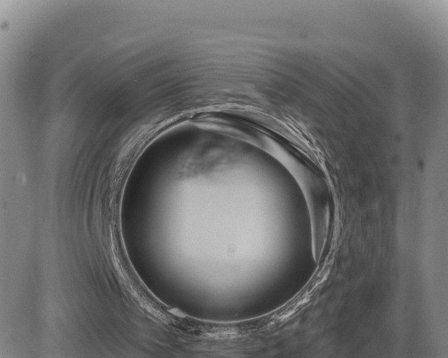 X0000084600097200703021637