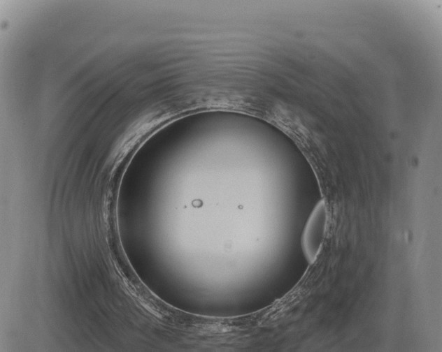 X0000084600098200703021637