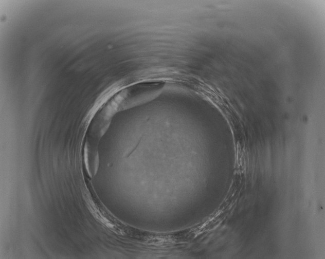 X0000084600099200703021637