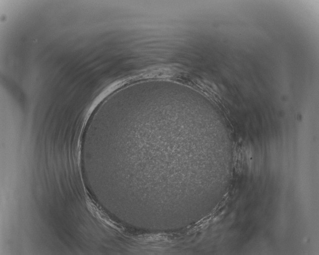 X0000084600100200703021637