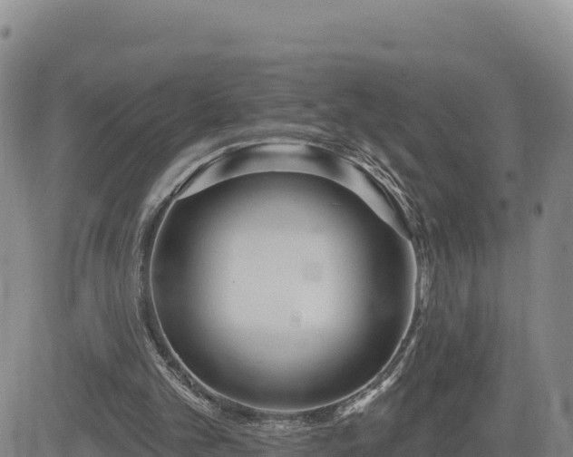 X0000084600101200703021637