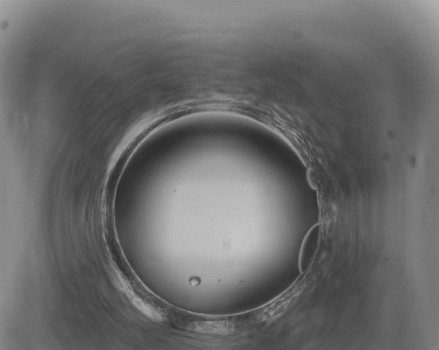 X0000084600102200703021637