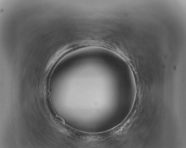 X0000084600103200703021637