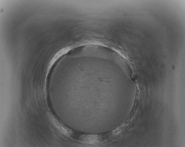 X0000084600104200703021637