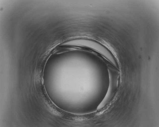 X0000084600105200703021637