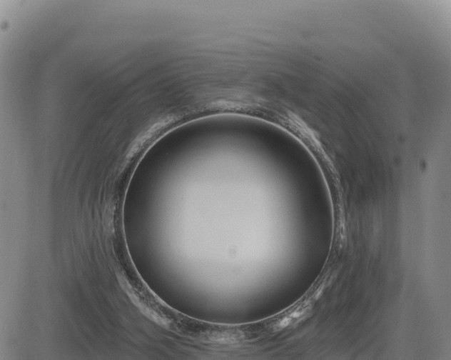 X0000084600106200703021637