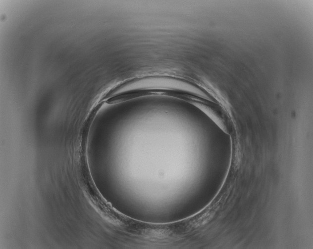 X0000084600107200703021637