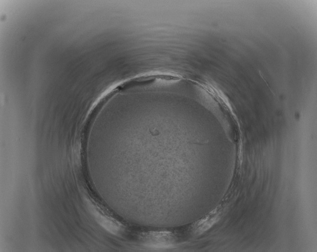 X0000084600108200703021637