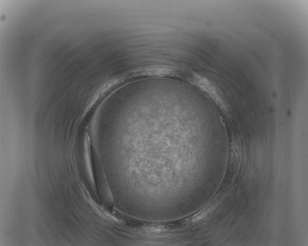 X0000084600110200703021637