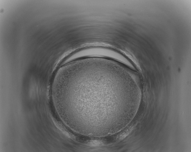 X0000084600111200703021637