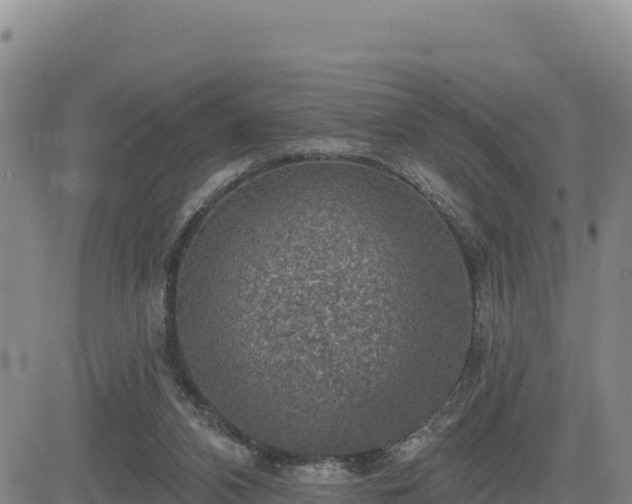 X0000084600112200703021636